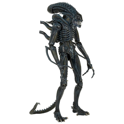 Mua bán NECA ALIENS XENOMORTH FAKE